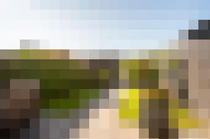 Het Penseel 34 Dronten thumbnail 4