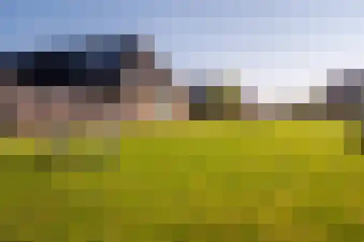 Het Penseel 34 Dronten thumbnail 41