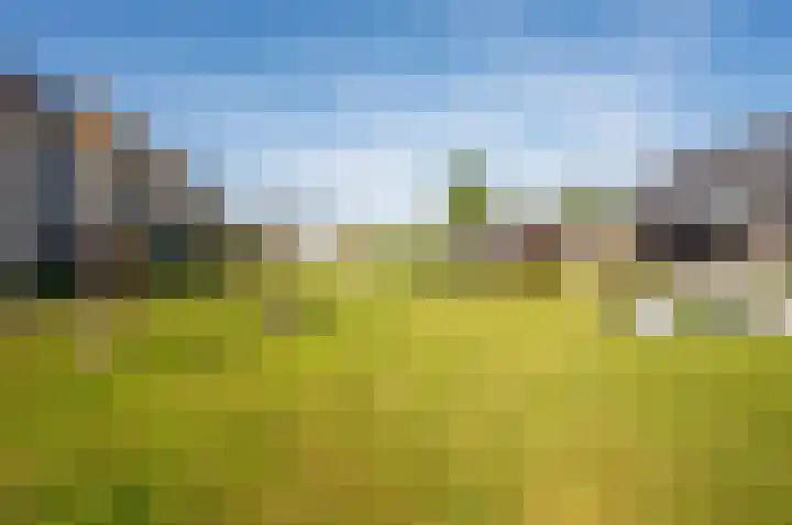 Het Penseel 34 Dronten thumbnail 42