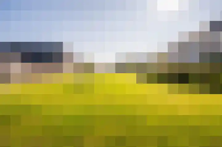 Het Penseel 34 Dronten thumbnail 43