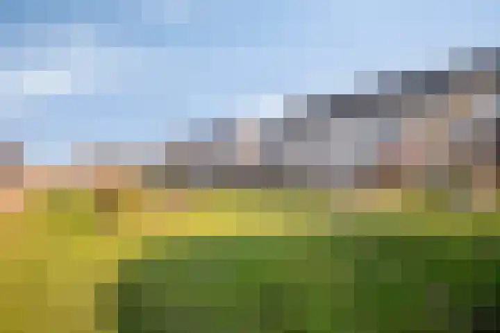 Het Penseel 50 Dronten thumbnail 34