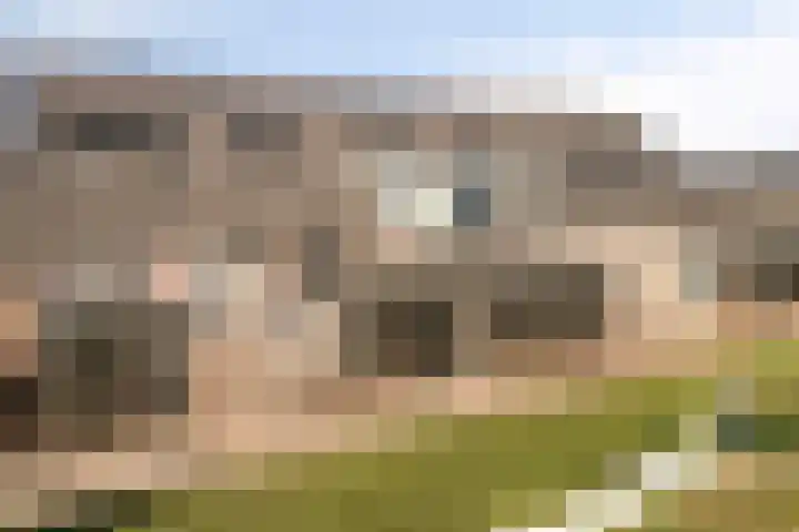 Het Penseel 50 Dronten thumbnail 6