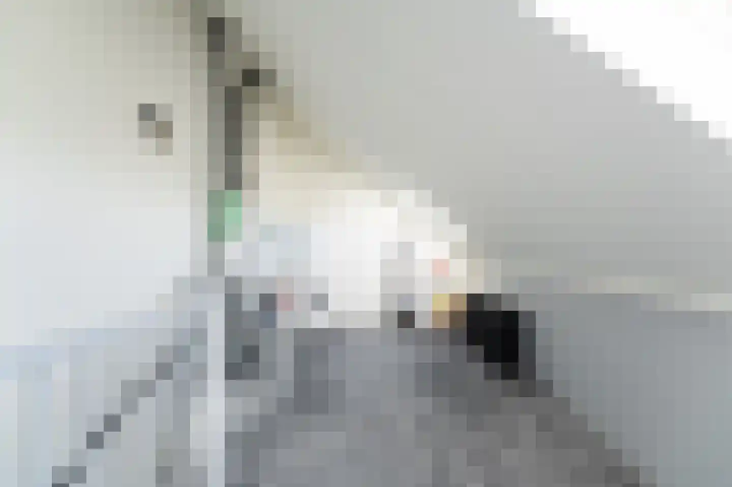Het Penseel 56 Dronten thumbnail 32