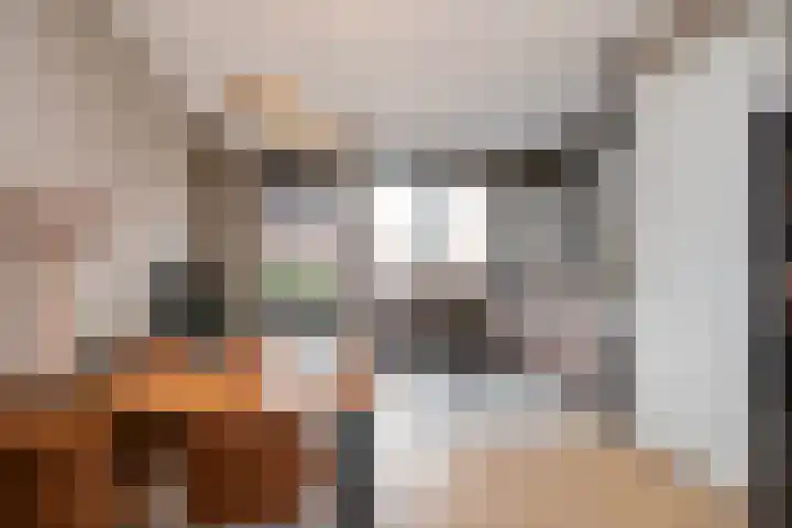 Het Penseel 79 Dronten thumbnail 11