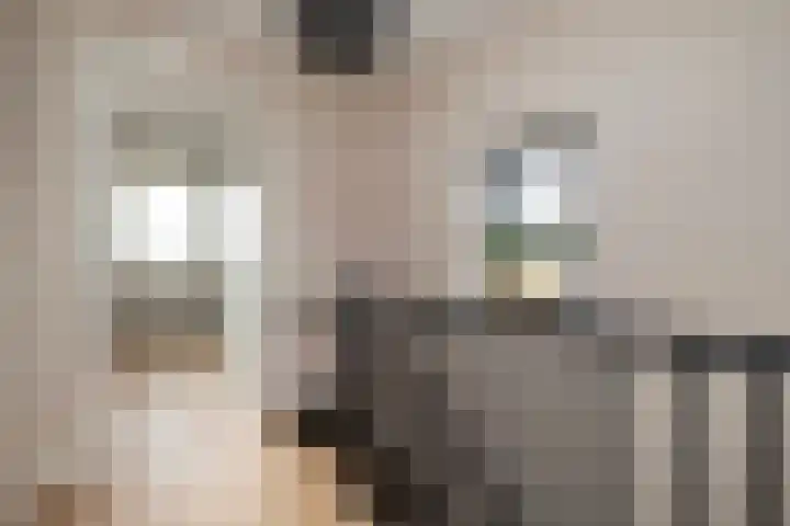 Het Penseel 79 Dronten thumbnail 12