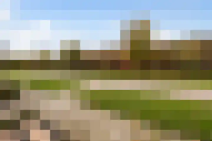 Het Penseel 79 Dronten thumbnail 22