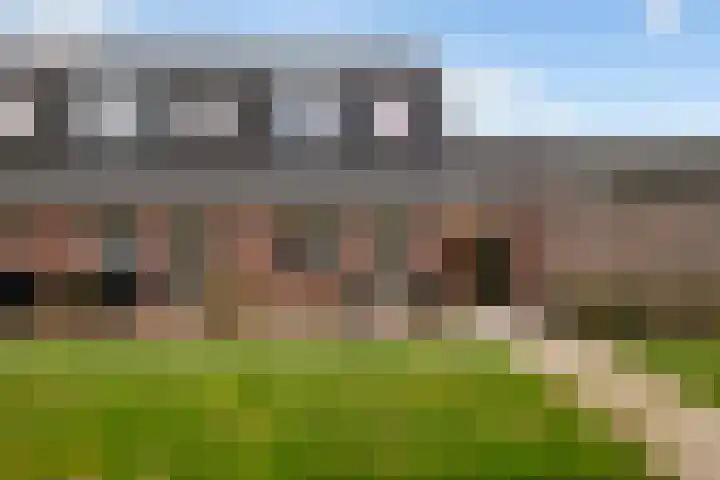 Het Penseel 79 Dronten thumbnail 24