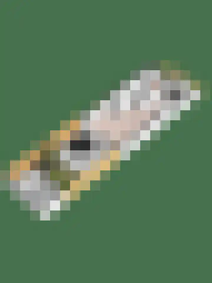 Het Penseel 79 Dronten thumbnail 29