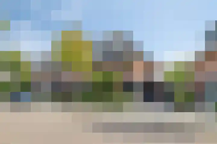 Het Penseel 79 Dronten thumbnail 6