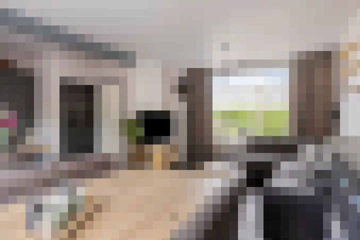 Het Perk 18 Oosterhout thumbnail 15