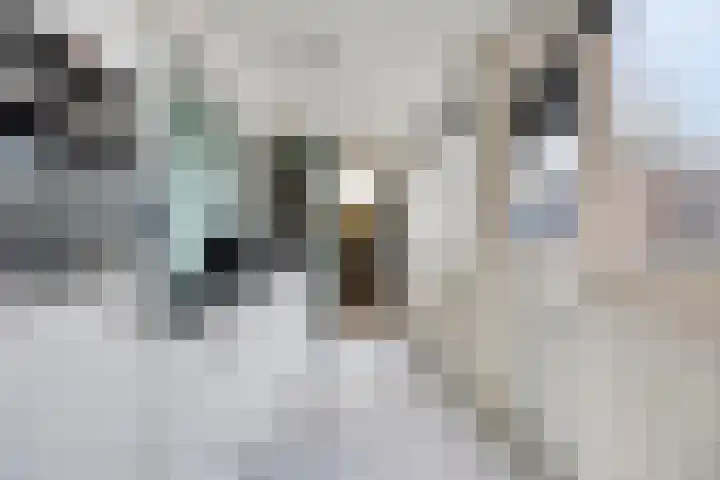 Het Perk 44 Oosterhout thumbnail 17