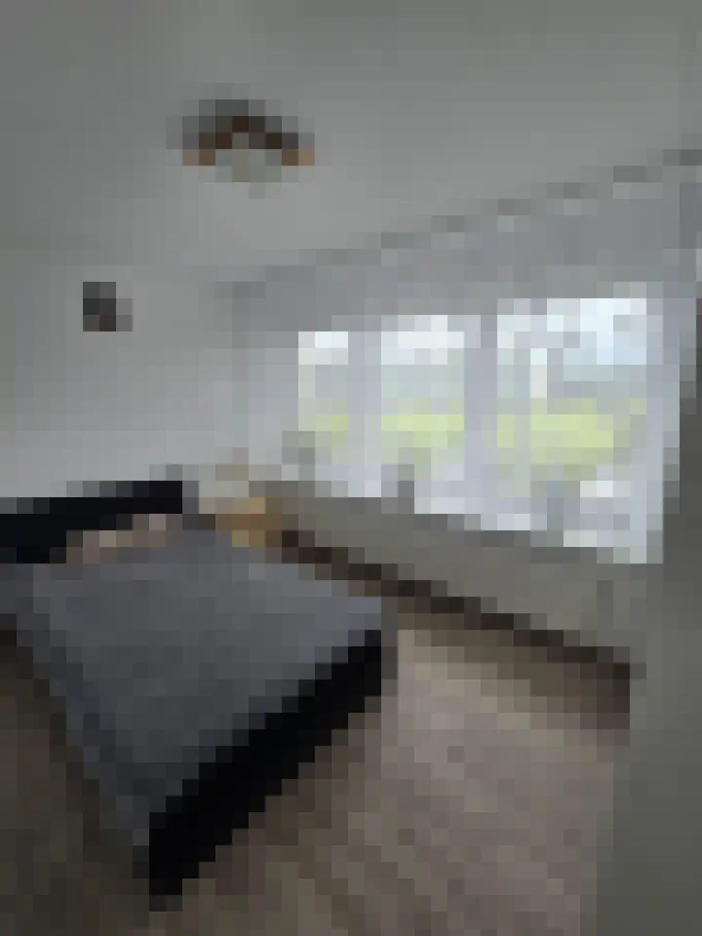 Het Perk 48 Oosterhout thumbnail 10