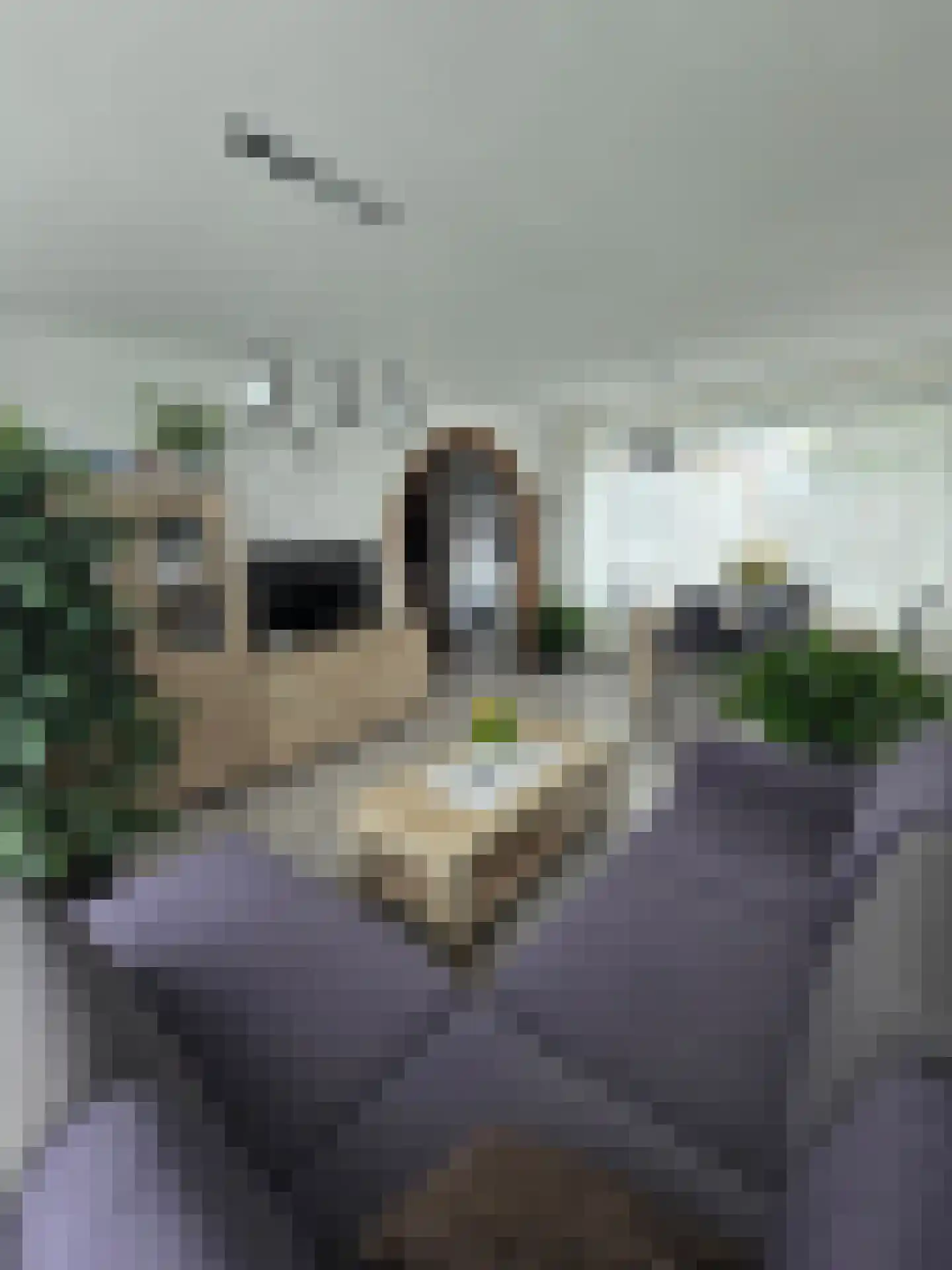 Het Perk 48 Oosterhout thumbnail 5