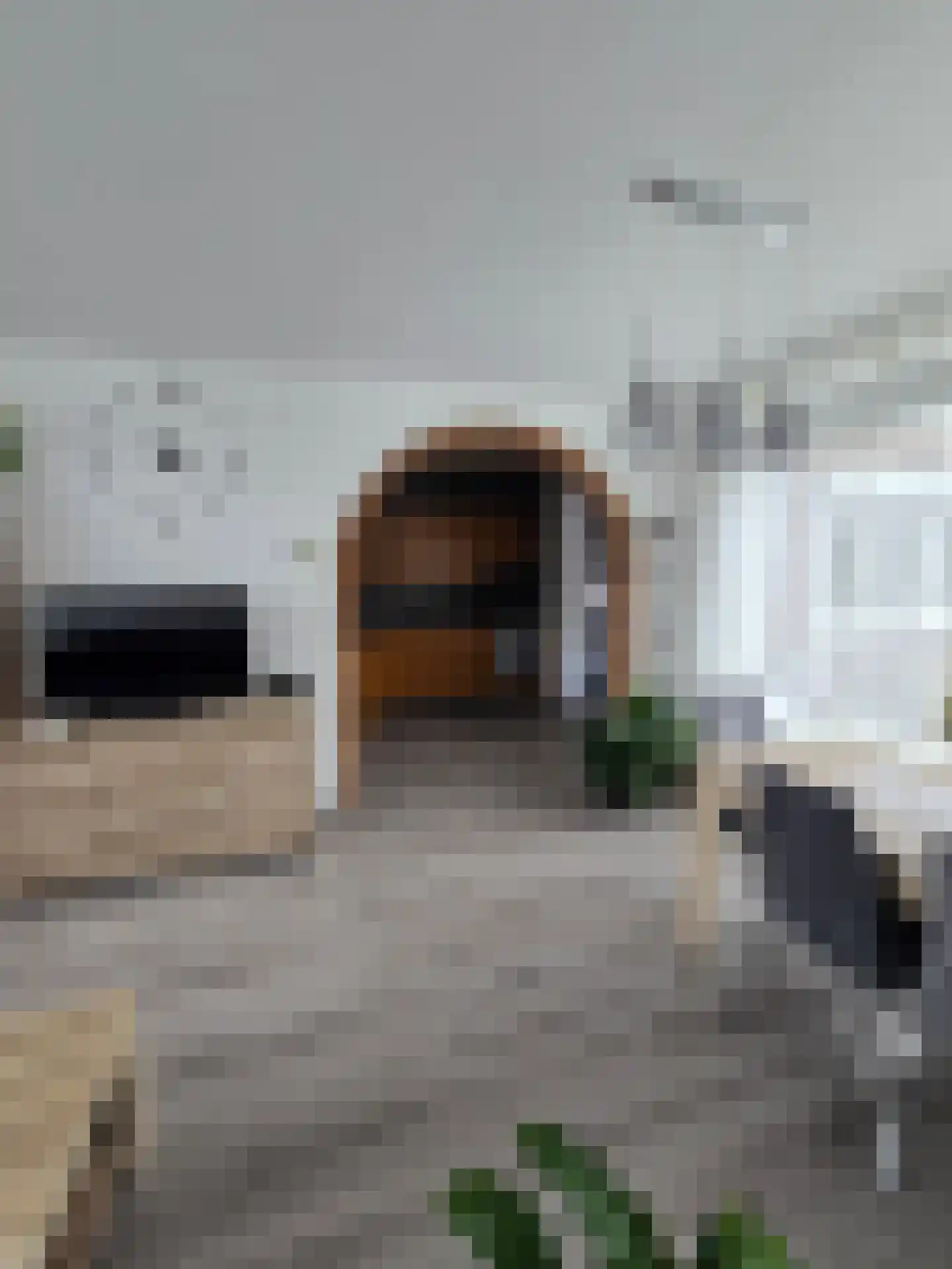 Het Perk 48 Oosterhout thumbnail 6