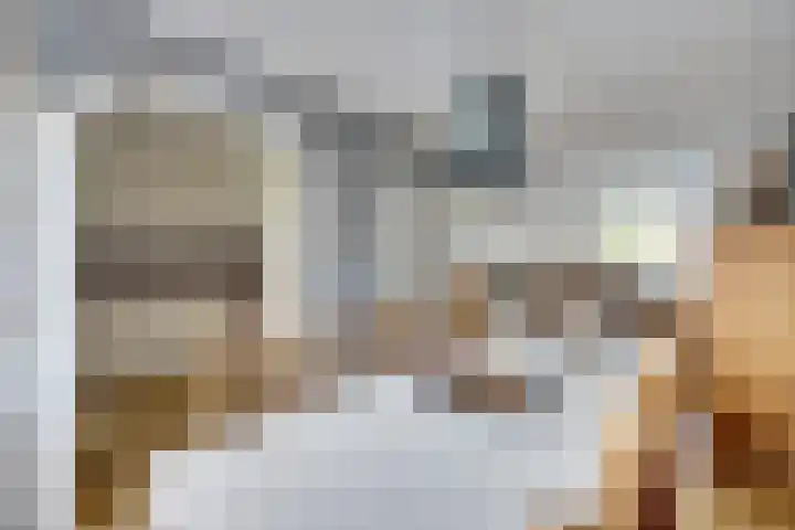 Het Plankenpad 33 Swifterbant thumbnail 12