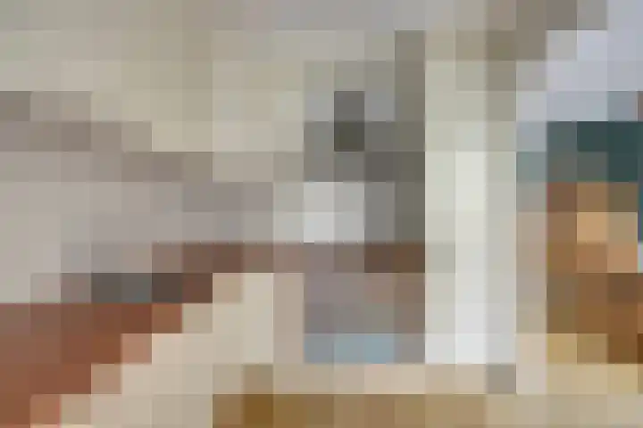 Het Plankenpad 33 Swifterbant thumbnail 13