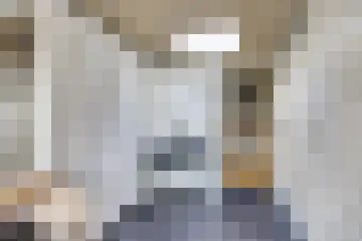 Het Plankenpad 33 Swifterbant thumbnail 15