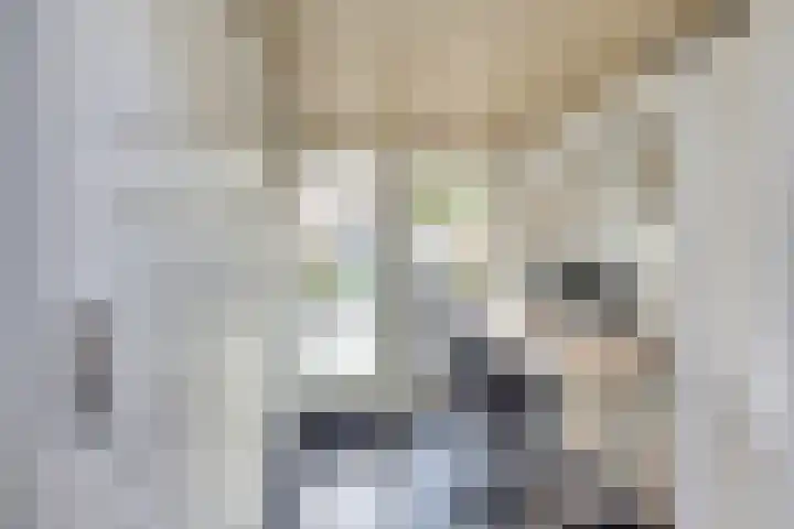 Het Plankenpad 33 Swifterbant thumbnail 16