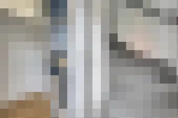 Het Plankenpad 33 Swifterbant thumbnail 17