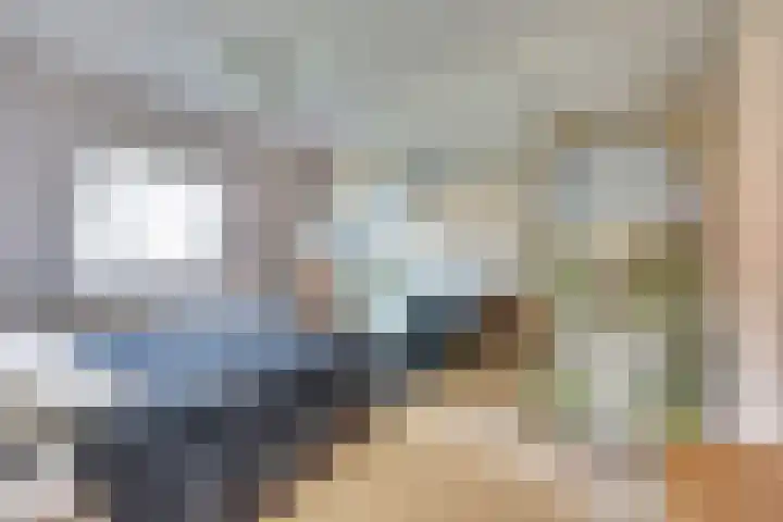 Het Plankenpad 33 Swifterbant thumbnail 19
