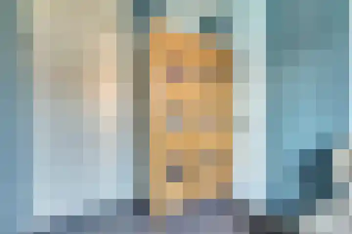 Het Plankenpad 33 Swifterbant thumbnail 20