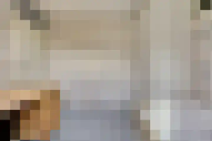 Het Plankenpad 33 Swifterbant thumbnail 22
