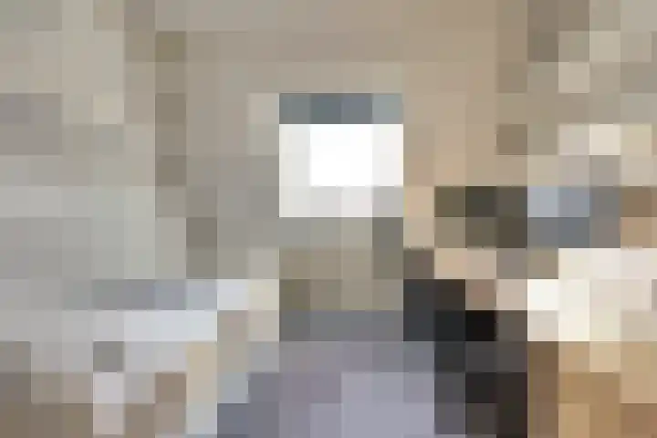 Het Plankenpad 33 Swifterbant thumbnail 23