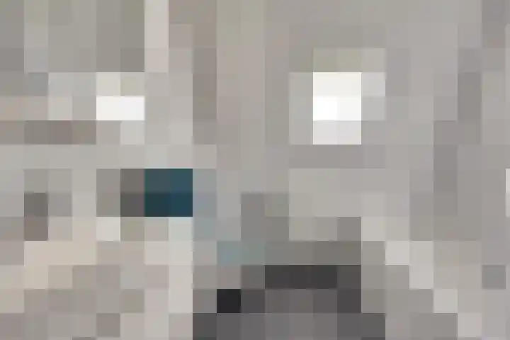 Het Plankenpad 33 Swifterbant thumbnail 24