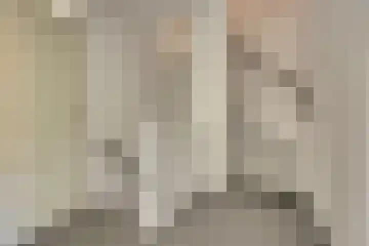 Het Plankenpad 33 Swifterbant thumbnail 26