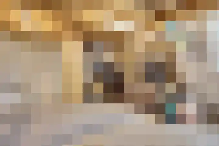 Het Plankenpad 33 Swifterbant thumbnail 27