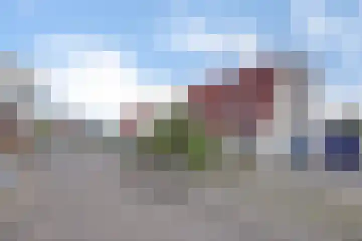 Het Plankenpad 33 Swifterbant thumbnail 28