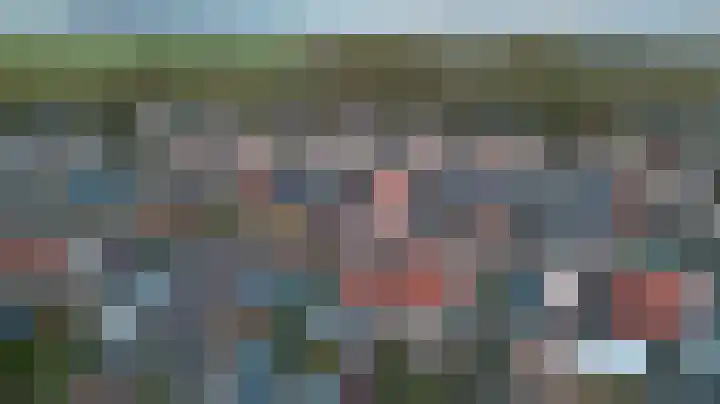Het Plankenpad 33 Swifterbant thumbnail 31