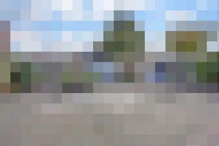 Het Plankenpad 33 Swifterbant thumbnail 35