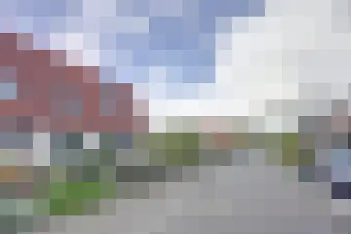 Het Plankenpad 33 Swifterbant thumbnail 38