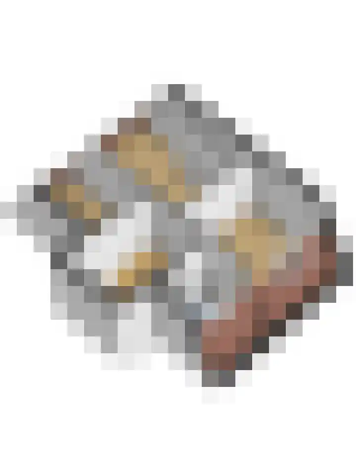 Het Plankenpad 33 Swifterbant thumbnail 44