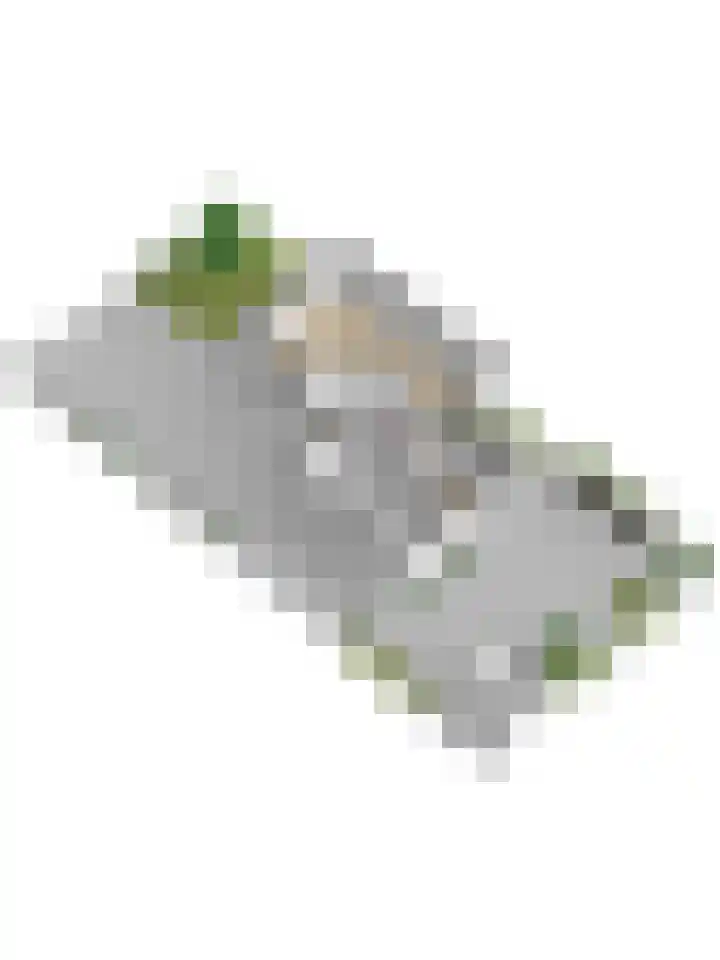 Het Plankenpad 33 Swifterbant thumbnail 45