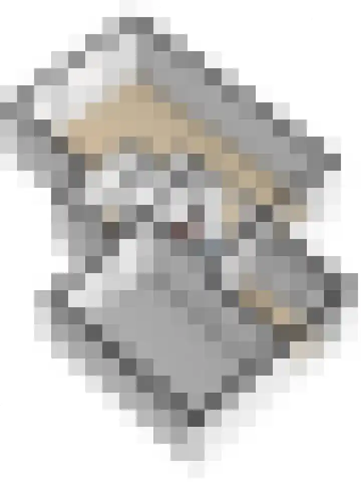 Het Plankenpad 33 Swifterbant thumbnail 46