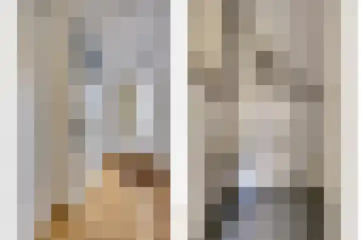 Het Plankenpad 33 Swifterbant thumbnail 6