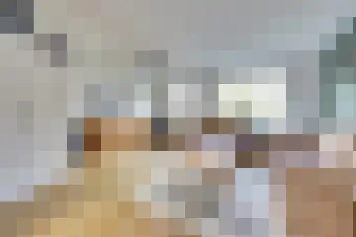 Het Plankenpad 33 Swifterbant thumbnail 7