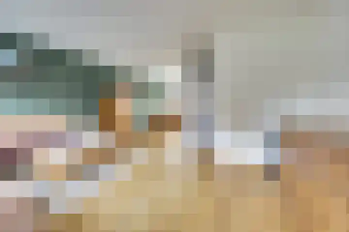 Het Plankenpad 33 Swifterbant thumbnail 9