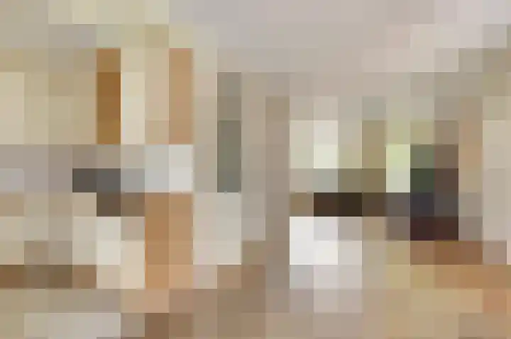 Het Plankenpad 40 Swifterbant thumbnail 11