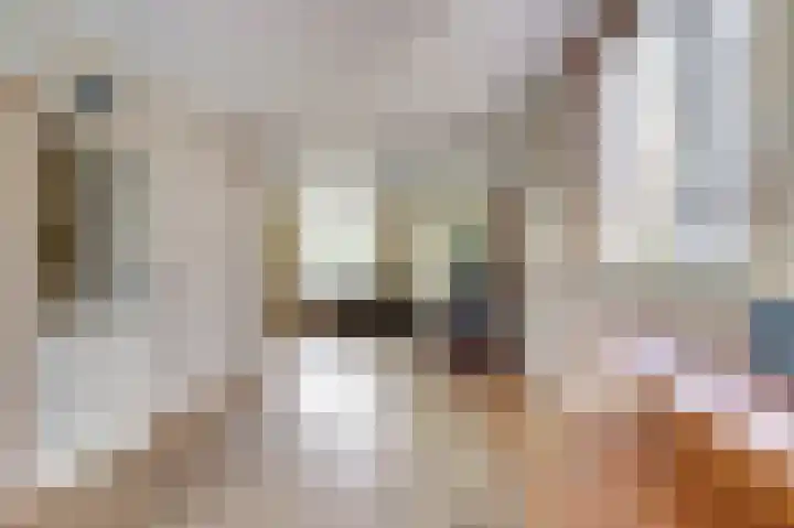 Het Plankenpad 40 Swifterbant thumbnail 12
