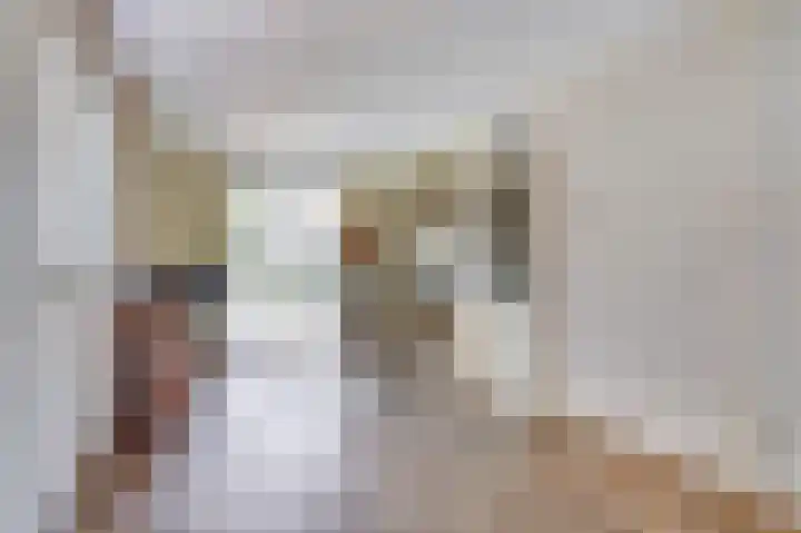 Het Plankenpad 40 Swifterbant thumbnail 13