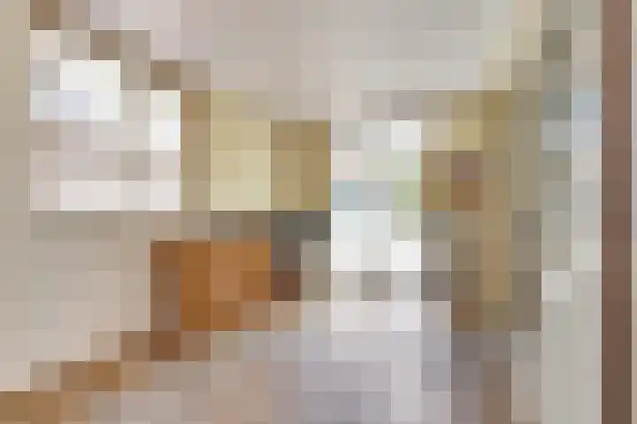 Het Plankenpad 40 Swifterbant thumbnail 14