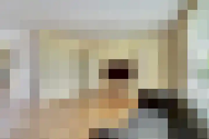Het Plankenpad 40 Swifterbant thumbnail 17