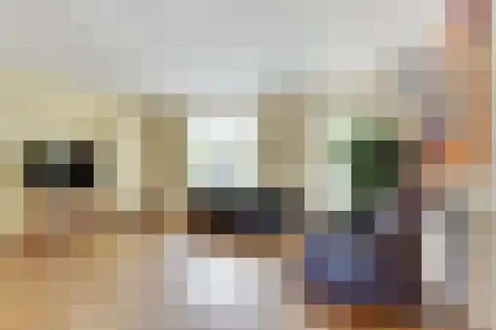 Het Plankenpad 40 Swifterbant thumbnail 18