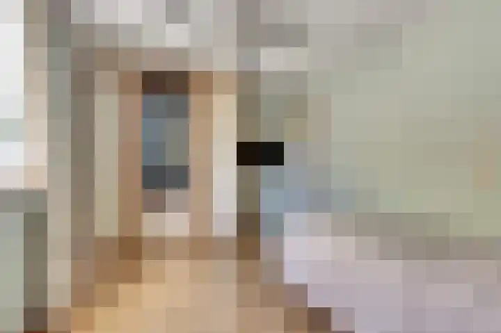 Het Plankenpad 40 Swifterbant thumbnail 21