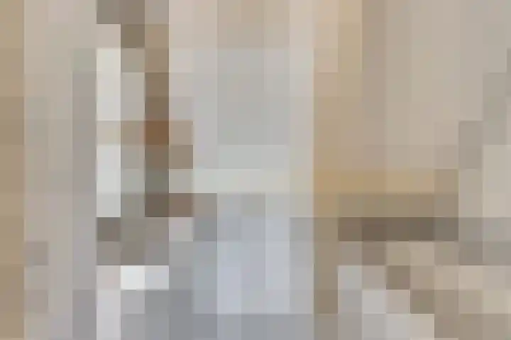 Het Plankenpad 40 Swifterbant thumbnail 28