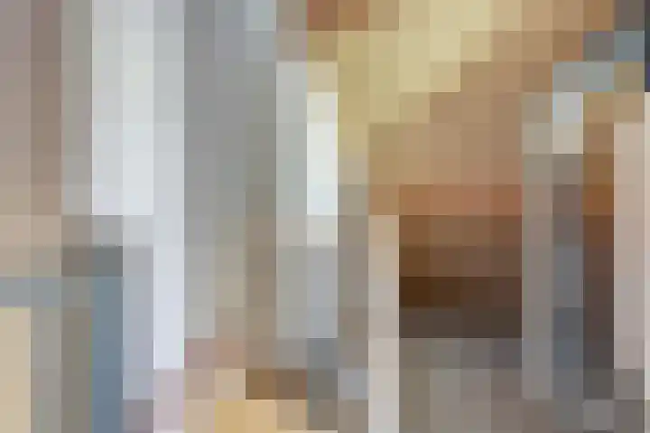 Het Plankenpad 40 Swifterbant thumbnail 29