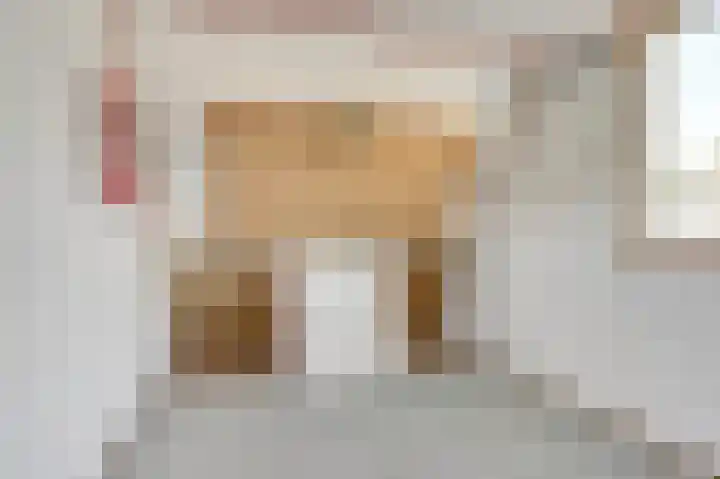 Het Plankenpad 40 Swifterbant thumbnail 32